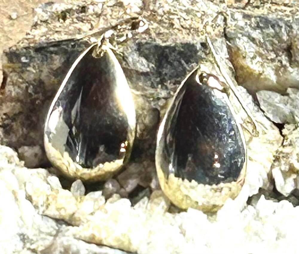 Silver Tone solid Teardrop dangle earrings